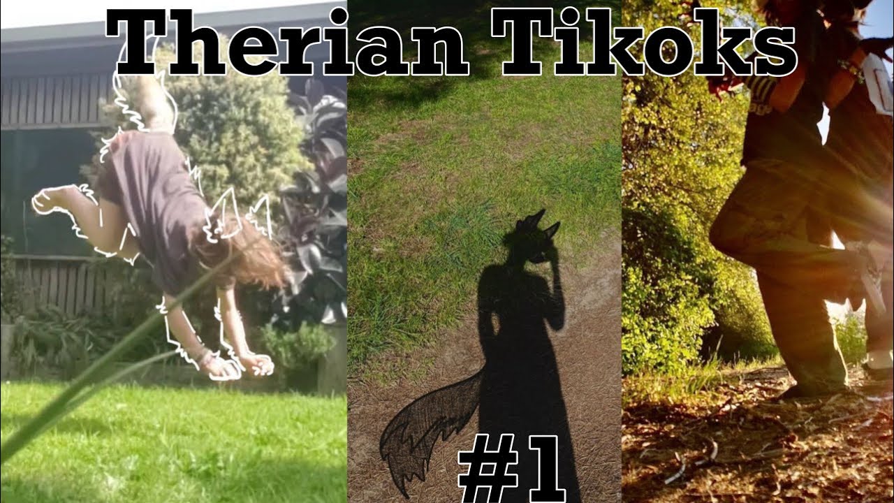 Therian Quadrobics Tiktok Compilation Youtube