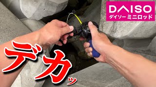 【穴釣り】エサ代0円。新作ダイソー釣具「穴釣り用ロッド」で釣りしてみた