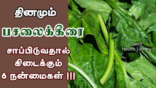 பசலைக்கீரையின் 6 முக்கிய நன்மைகள் | Spinach Benefits | Tamil Health Library