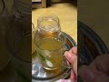 폐렴환자처럼 기침 넘 심할때 도라지차가 최고😷😷 balloonflowerroottea jujubejingertea