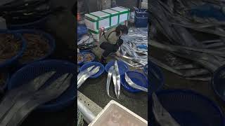 油帶魚 白帶魚 坎仔頂 基隆魚市場 seafood fishmarket