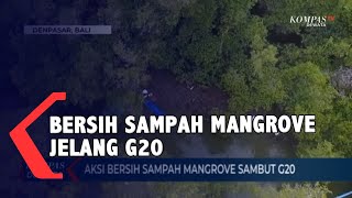 Aksi Bersih Sampah Mangrove Sambut G-20