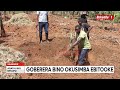 agataliikonfuufu ensigo goberera bino nga osimba ebitooke