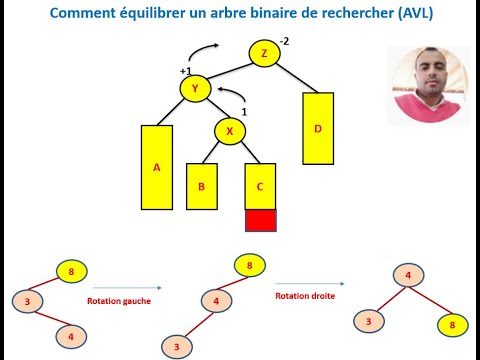 Naji-les Arbres Binaires De Recherche équilibrés - YouTube