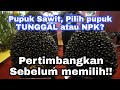 Untuk SAWIT, pilih pupuk TUNGGAL atau pupuk MAJEMUK NPK || pertimbangkan sebelum membeli