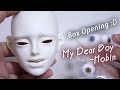 BJD Box Opening | A doll I never expected to own! - My Dear Boy Hobin | Korean Artist Head Unboxing