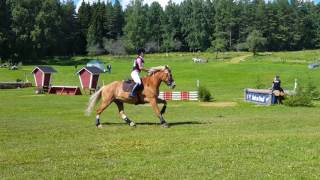 22.7.2017 2-tason kenttäkilpailut, harraste