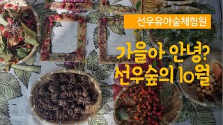 [관악구] 선우유아숲에 가을이 왔어요~