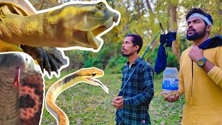 পঞ্চাশ বছরের পুরোনো প্রাণী জঙ্গলে ছাড়লাম! অদ্ভূত সব জন্তুগুলোকে আগে দেখেছেন? Wild Animals Released