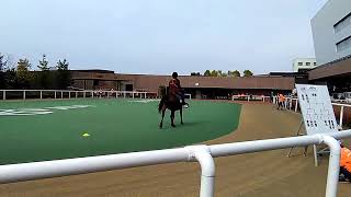 地道美人コンテスト　17-10-08　札幌競馬場②