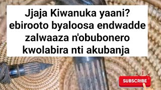 Ebikwaata ku Jjajaffe Kiwanuka ebirooto byaloosa, endwadde zalwaaza n'obubonero kwolabira nti abanja