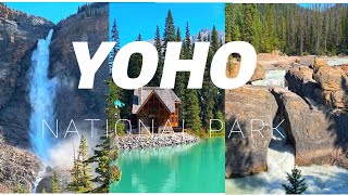 Top Attractions in Yoho National Park you should visit in Summer 🇨🇦