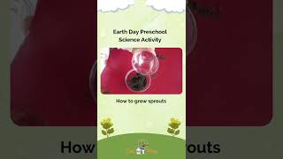 Earth Day Preschool Science Activity | How to grow sprouts