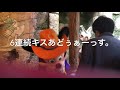 ミッキーと50日連続グリーティング1日目〜伝説は指差しから始まる〜 my disney tour day 1 i meet mickey mouse