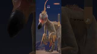 ｜緊急任務｜礦弩｜搔鳥 七星 ✡️✡️｜搔鳥大進擊｜Monster Hunter Now- 魔物獵人NOW 2023