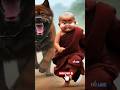 Three Little Monks so cute 🥺🥰 #shorts #viral #video