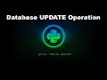 Database UPDATE Operation - Python Programming
