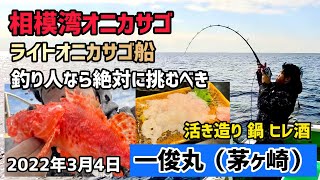 【相模湾オニカサゴ】 ライトオニカサゴ船 一俊丸 2022年3月4日 #20