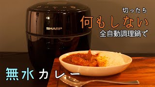 ほったらかし無水カレー作ってみた【ヘルシオ ホットクック】