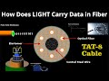 How Does LIGHT Carry DATA in Fiber Optic Cable? FULL EXPLAINED