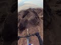 Biking Adventure | extreme on the top of hills