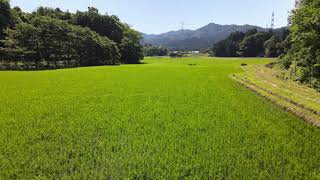 圃場風景@栃木県日光市猪倉