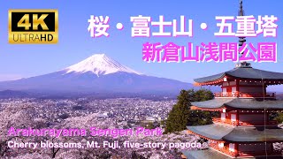 日本を象徴する桜の絶景 [新倉山浅間公園] / Cherryblossom \u0026Mt.Fuji [ArakuraYama]