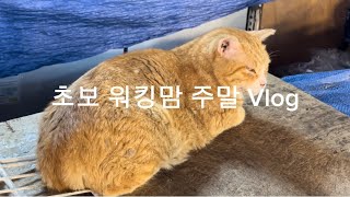 주말에두 바쁜 52살 초보N잡러