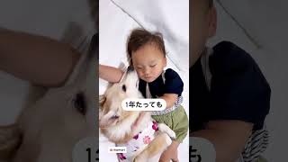 【癒される】赤ちゃんと犬のお昼寝シーン👶🐕#shorts