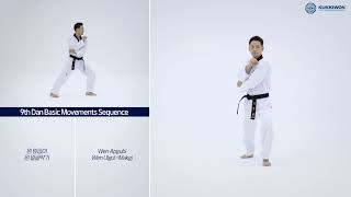 9th Dan Basic Movements (Sequence)