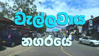 #2029 වැල්ලවාය නගරය හොඳම ඉඩමක් ලබා ගන්න අදම කතා කරන්න..සිංහ  ශ්‍රී එන්ටපයිසස්   0777037401