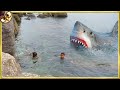 50 Scary Shark Encounters Caught On Camera