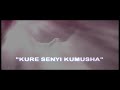 Kure Senyi Kumusha 