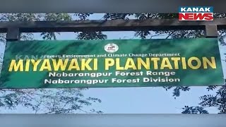 Growing Demand for Miyawaki Method: Nabarangpur Forest Department Plants 98 Varieties of Trees