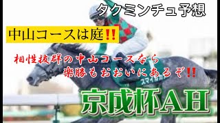 タクミンチュの２０２１年京成杯AH予想