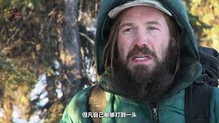 【野人蓋房子系列】北極狩獵生活系列：獵人叢林捕捉野豬，大佬高地尋找野生山羊！