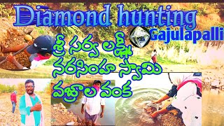 gajulapalli diamond hunting/శ్రీ సర్వ లక్ష్మీ నరసింహ స్వామి వజ్రాలవంకలో వజ్రాల వేట/Nallamalla forest