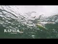 How Lures Swim: Rapala Skitterpop