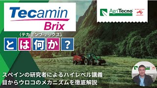 【科学的/徹底解説】Tecamin Brixにはどういった効果があるのか？農業技術の専門家が科学的に解説します