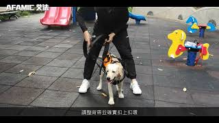 【AFAMIC 艾法】中大型犬高齡犬戶外助行寵物背包雙肩背帶多功能空降包/外出包(殘疾大狗 復健 輔助 後腳)