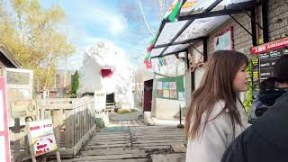 札幌北部野生動物園--外國遊客不多的在地景點，當天誤混進大量日本遊客群中的唯二台灣人~