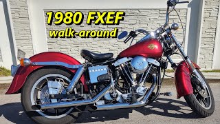 1980 FXEF Walk-Around