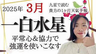 【占い】2025年3月一白水星さん運勢！平常心＆周囲との協力で強運が発動する😊✨