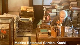 高知県立 牧野植物園  The Kochi Prefectural Makino Botanical Garden, Japan