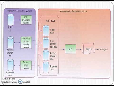 Types Of Information System - YouTube