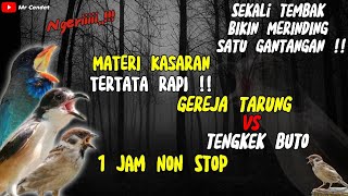 NGERIII..!!MATERI TERTATA RAPI TEMBAKAN GEREJA TARUNG SAMBUNG TENGKEK BUTO !!