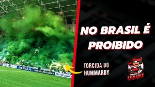 Hammarby vs Djurgãrden na Suécia! | No Brasil os clubes são punidos por fazer festa. | #Shorts