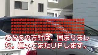 【金麦ポイ捨て】1ヶ月以上進展が無いので新動画をアップします。今後は顧問弁護士からの連絡を待ちます。上司の方には荷が重いです。次回こちらの方針をYouTubeでお知らせします。【飲酒運転】