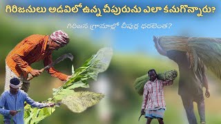 How the tribesmen invented brooms in rural areas|గిరిజనులు అడవిలో ఉన్న చీపుర్లను ఎలా కనుగొన్నారు?