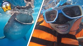 واجهت اكبر مخاوفي سبحت مع اسماك القرش || Swimming With Sharks